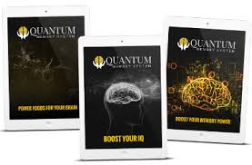 Quantum Memory System pdf