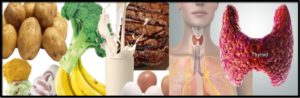 The 4-Day Thyroid Diet Review